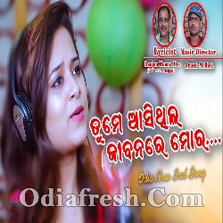 Tume Aasithila Jibanare Mora - Odia New Sad Song By Amrita Nayak